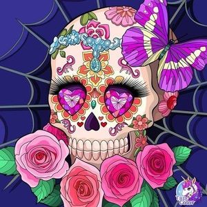 Meet your Posher, Sally